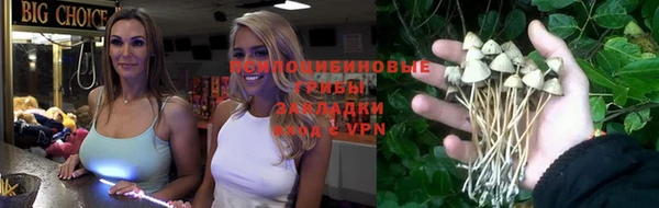 дурь Нязепетровск
