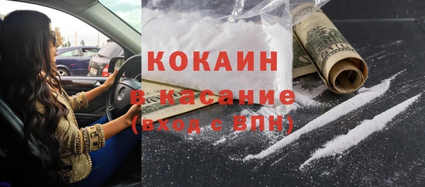 индика Болотное