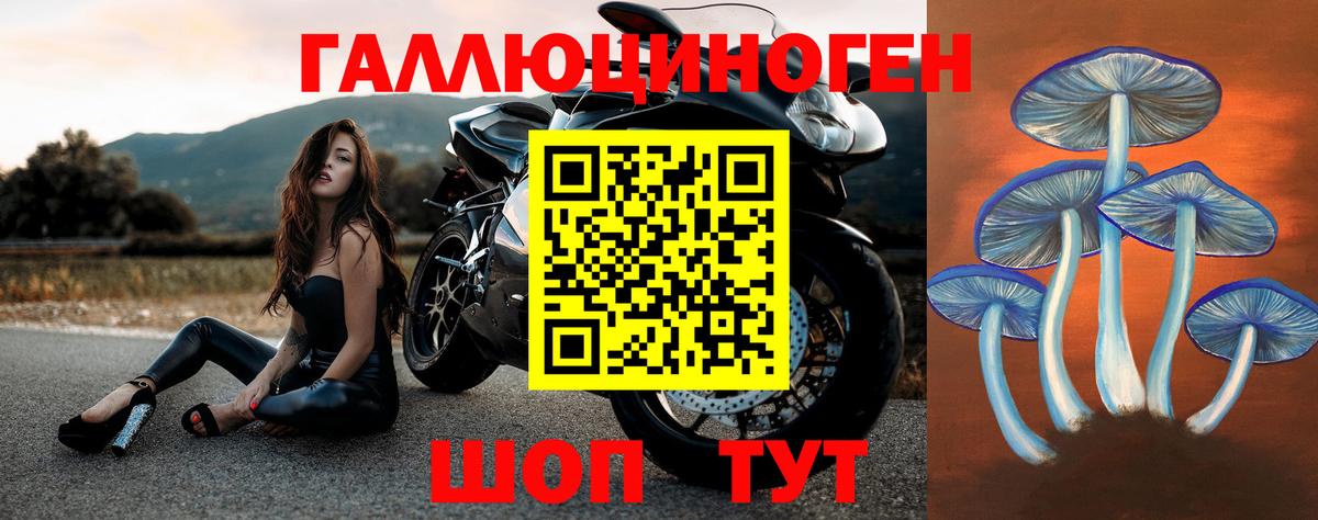 Галлюциногенные грибы прущие грибы Прокопьевск